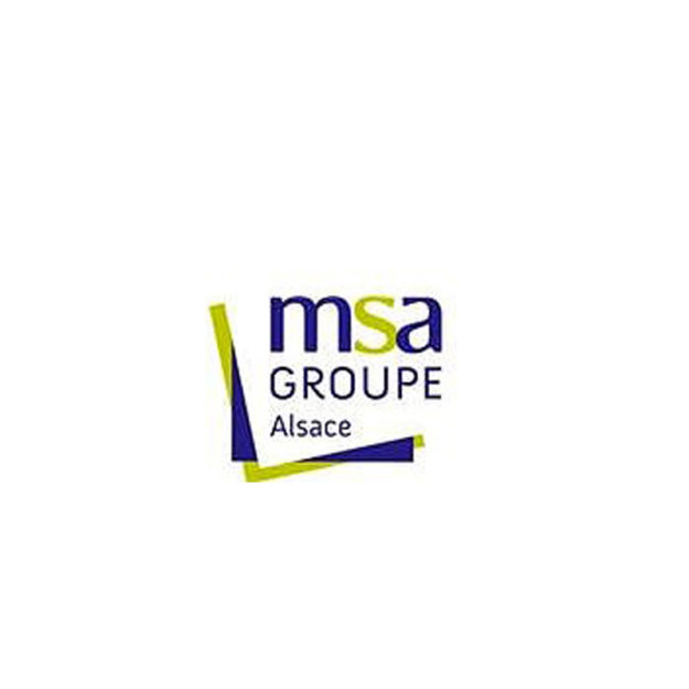 msa group alsace - logo
